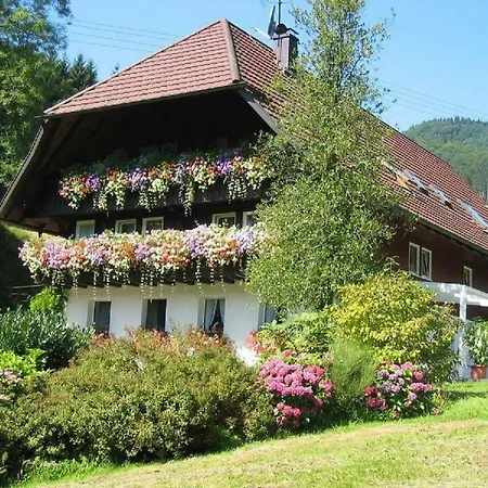 Apartamento Haus Schneider *