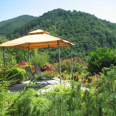 Haus Schneider Appartamento *