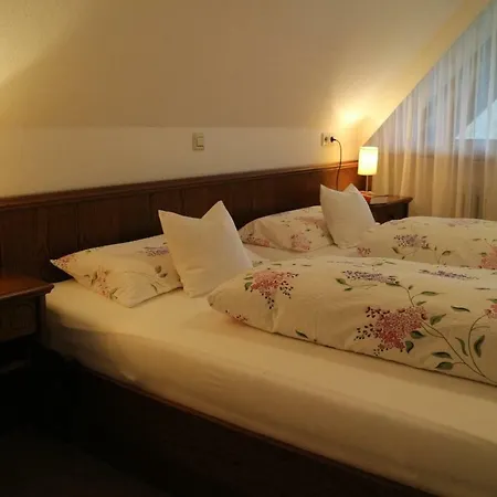 Apartamento Haus Schneider *