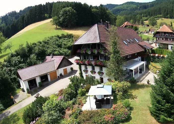 Apartament Haus Schneider Gutach