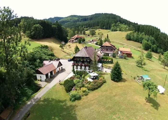 Apartament Haus Schneider Gutach