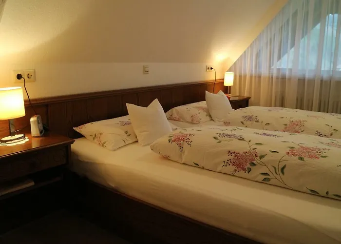 Apartament Haus Schneider *